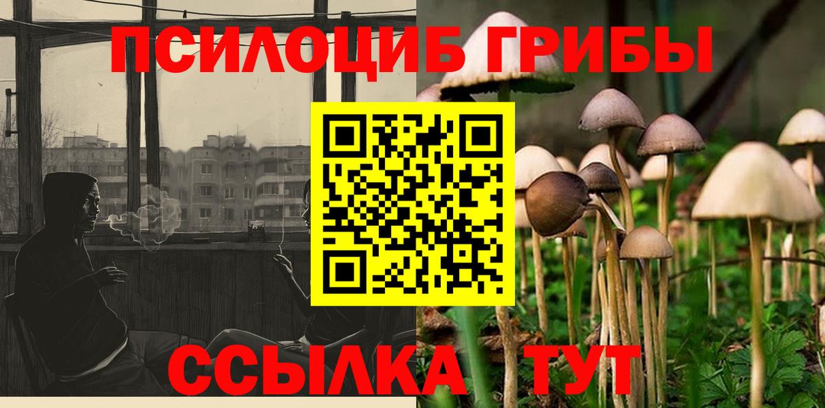 Галлюциногенные грибы Psilocybine cubensis Острогожск